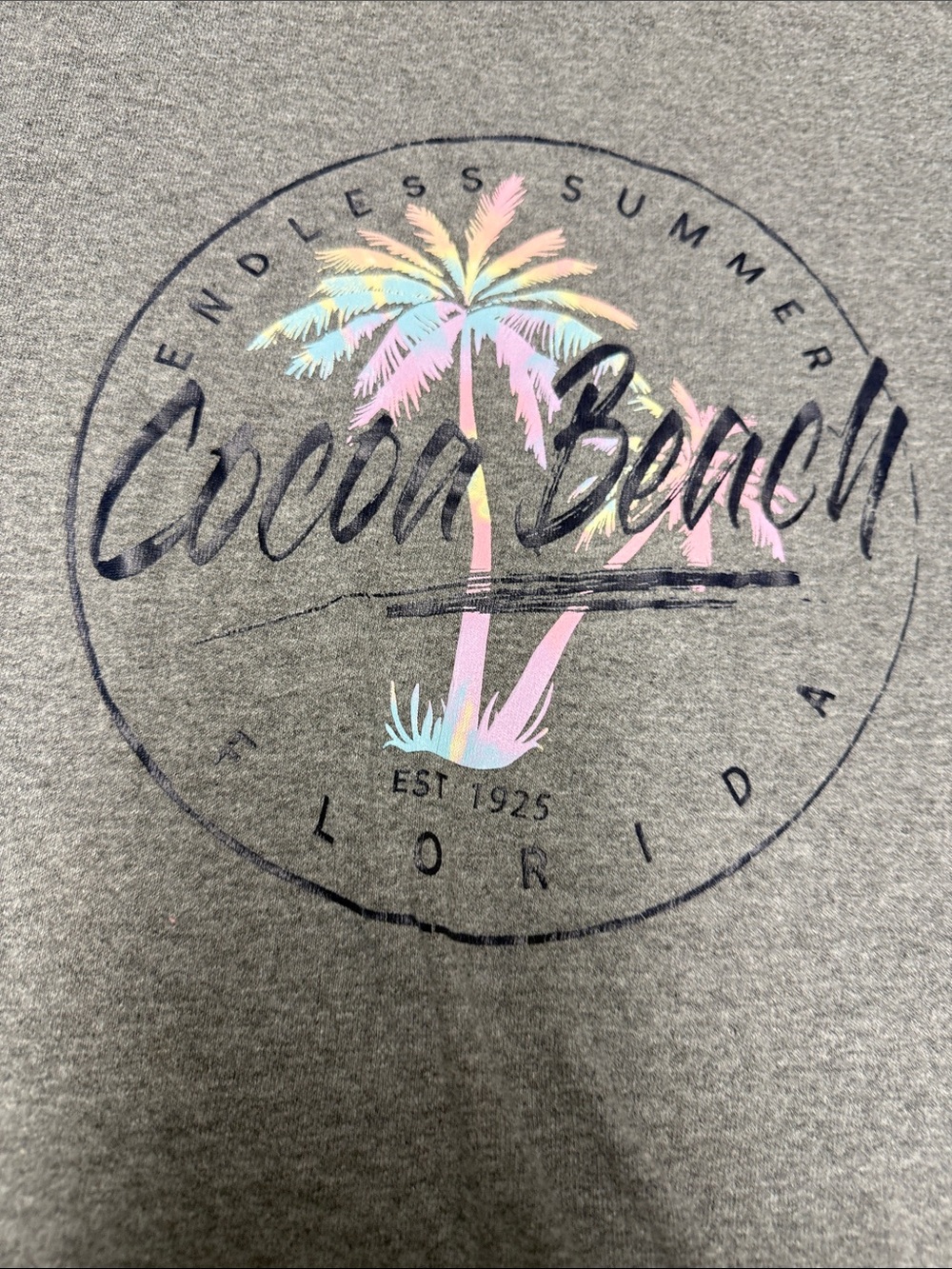 Cocoa Beach Palm Graphic Tee - Gray with Pastel Accent - Picture 2 of 4